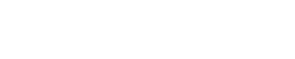 meticuly logo